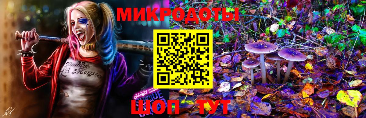 Галлюциногенные грибы Psilocybine cubensis Новый Уренгой
